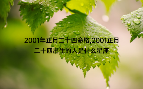 2001年正月二十四命格,2001正月二十四出生的人是什么星座