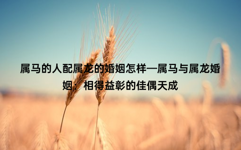 属马的人配属龙的婚姻怎样—属马与属龙婚姻：相得益彰的佳偶天成