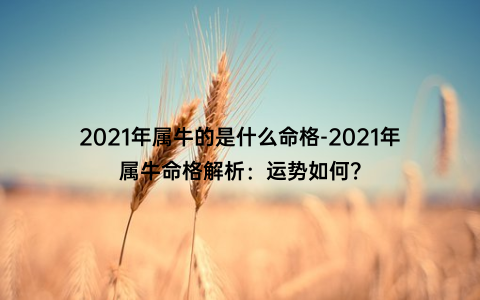 2021年属牛的是什么命格-2021年属牛命格解析：运势如何？