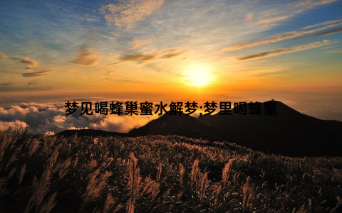 梦见喝蜂巢蜜水解梦;梦里喝蜂蜜