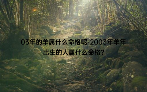 03年的羊属什么命格呢-2003年羊年出生的人属什么命格？