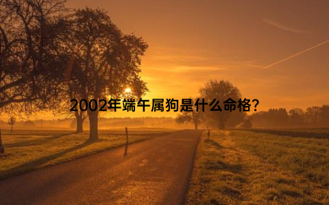 2002年端午属狗是什么命格？