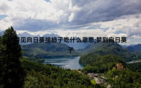 梦见向日葵接柿子吃什么意思;梦到向日葵子