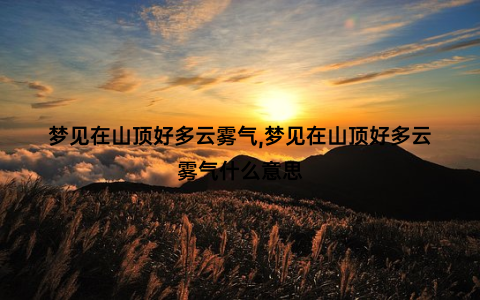 梦见在山顶好多云雾气,梦见在山顶好多云雾气什么意思