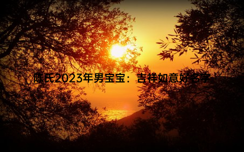 陈氏2023年男宝宝：吉祥如意好名字