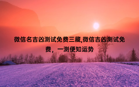 微信名吉凶测试免费三藏,微信吉凶测试免费，一测便知运势