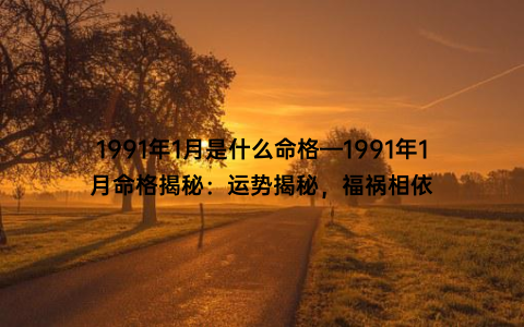 1991年1月是什么命格—1991年1月命格揭秘：运势揭秘，福祸相依