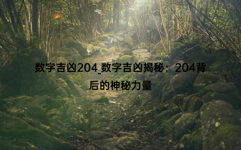 数字吉凶204_数字吉凶揭秘：204背后的神秘力量