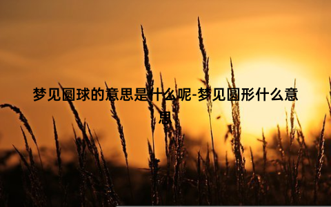 梦见圆球的意思是什么呢-梦见圆形什么意思