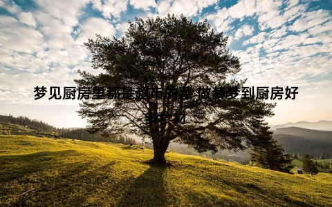 梦见厨房里都是超市的菜_做梦梦到厨房好多食材