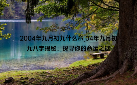 2004年九月初九什么命_04年九月初九八字揭秘：探寻你的命运之谜