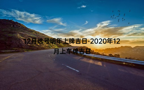 12月选号明年上牌吉日-2020年12月上车牌吉日