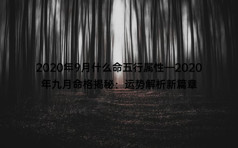 2020年9月什么命五行属性—2020年九月命格揭秘：运势解析新篇章