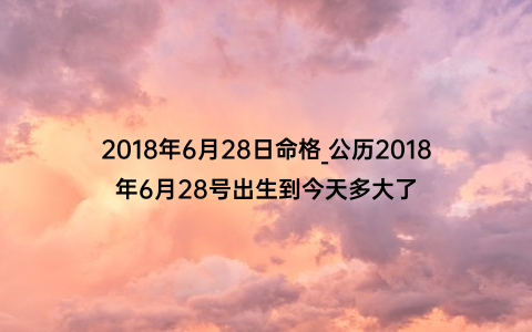 2018年6月28日命格_公历2018年6月28号出生到今天多大了