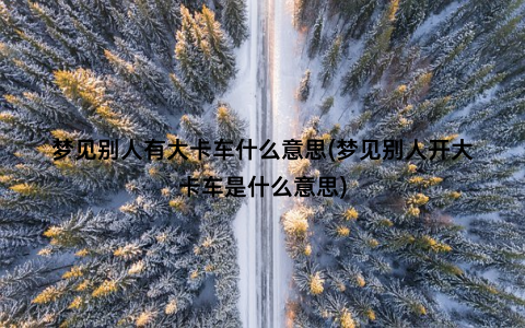 梦见别人有大卡车什么意思(梦见别人开大卡车是什么意思)