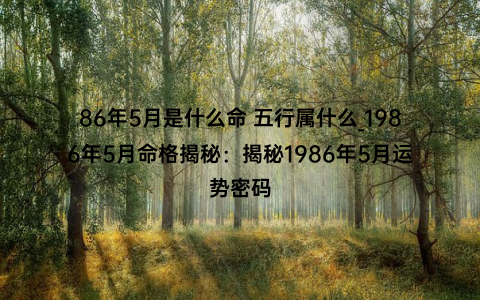 86年5月是什么命 五行属什么_1986年5月命格揭秘：揭秘1986年5月运势密码