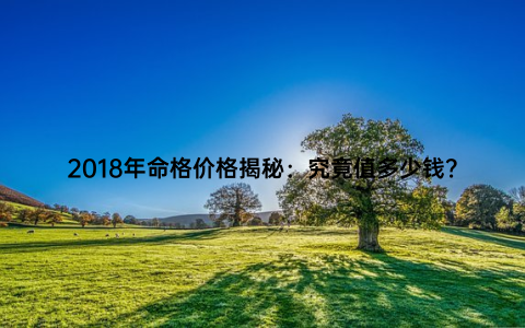 2018年命格价格揭秘：究竟值多少钱？