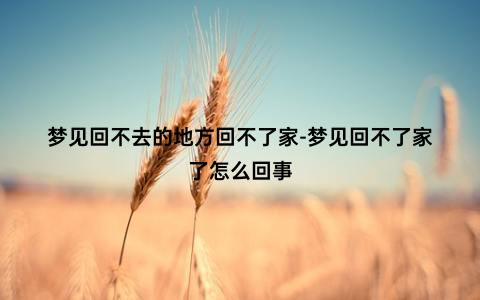 梦见回不去的地方回不了家-梦见回不了家了怎么回事