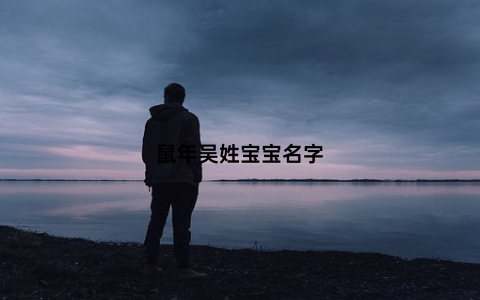 鼠年吴姓宝宝名字