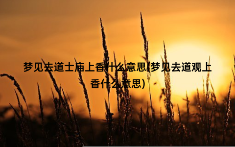 梦见去道士庙上香什么意思(梦见去道观上香什么意思)