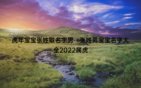 虎年宝宝张姓取名字男—张姓男宝宝名字大全2022属虎