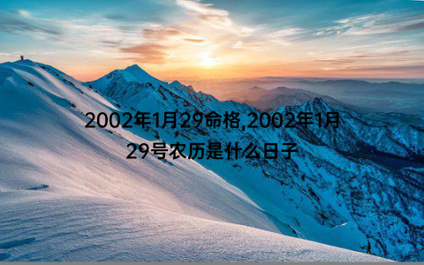 2002年1月29命格,2002年1月29号农历是什么日子