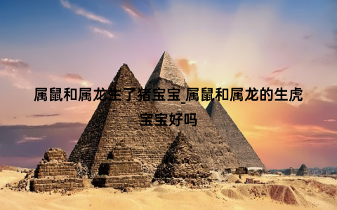 属鼠和属龙生了猪宝宝_属鼠和属龙的生虎宝宝好吗