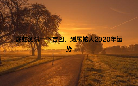 属蛇测试一下吉凶、测属蛇人2020年运势