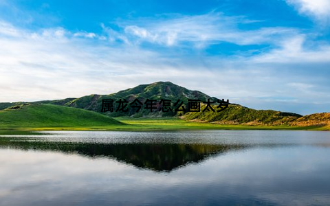 属龙今年怎么画太岁