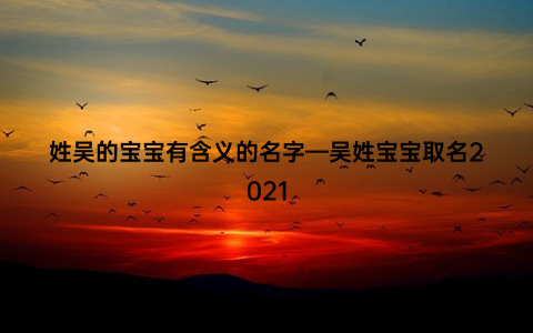 姓吴的宝宝有含义的名字—吴姓宝宝取名2021