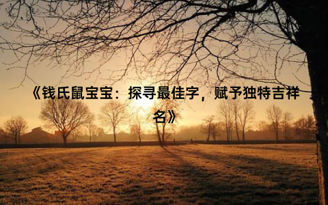 《钱氏鼠宝宝：探寻最佳字，赋予独特吉祥名》