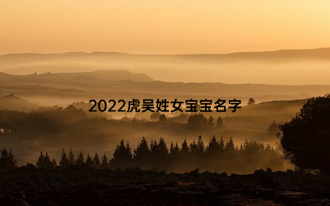 2022虎吴姓女宝宝名字