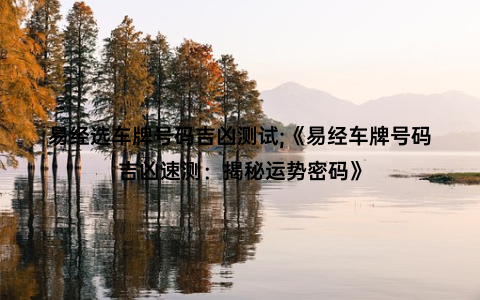 易经选车牌号码吉凶测试;《易经车牌号码吉凶速测：揭秘运势密码》