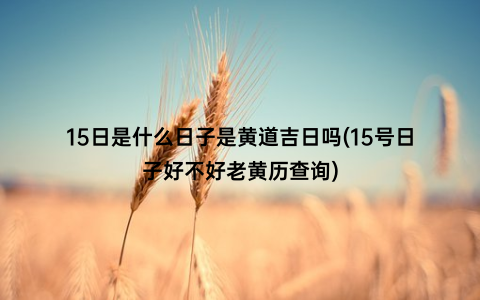 15日是什么日子是黄道吉日吗(15号日子好不好老黄历查询)