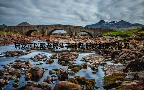 属龙可以戴老虎头手链吗,属龙能戴虎骨吗