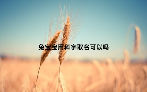 兔宝宝用科字取名可以吗