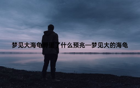 梦见大海龟孵蛋了什么预兆—梦见大的海龟