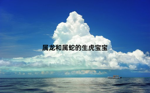 属龙和属蛇的生虎宝宝