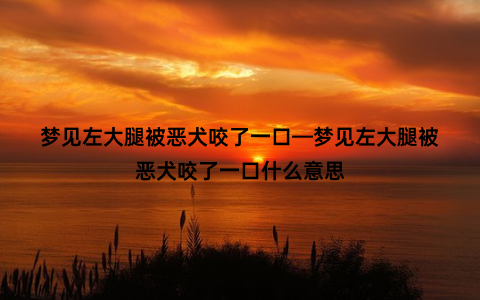 梦见左大腿被恶犬咬了一口—梦见左大腿被恶犬咬了一口什么意思