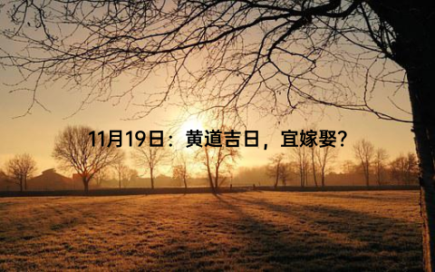 11月19日：黄道吉日，宜嫁娶？