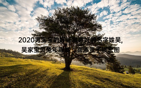 2020男宝宝的好听寓意好的名字姓吴,吴家宝贝兔年降临，喜添贵子展宏图