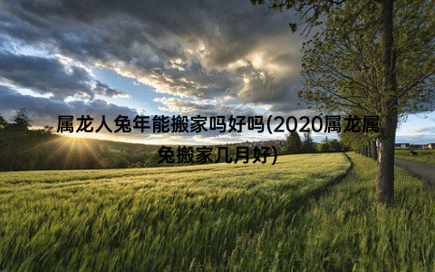 属龙人兔年能搬家吗好吗(2020属龙属兔搬家几月好)