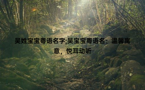 吴姓宝宝粤语名字;吴宝宝粤语名：温馨寓意，悦耳动听