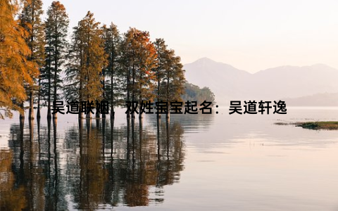 吴道联姻，双姓宝宝起名：吴道轩逸