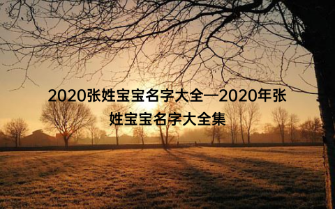 2020张姓宝宝名字大全—2020年张姓宝宝名字大全集