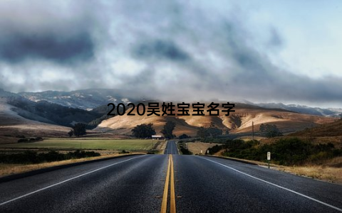 2020吴姓宝宝名字