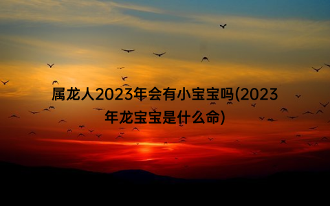 属龙人2023年会有小宝宝吗(2023年龙宝宝是什么命)