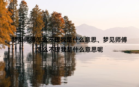 梦见师傅怎么不理我是什么意思、梦见师傅怎么不理我是什么意思呢