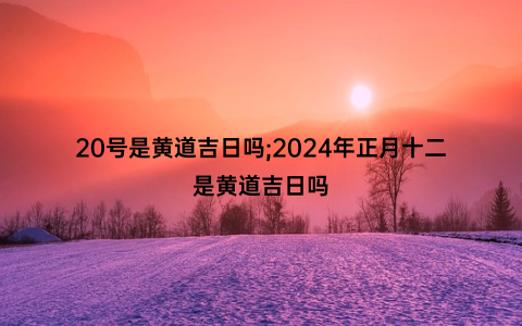 20号是黄道吉日吗;2024年正月十二是黄道吉日吗