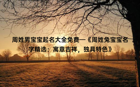 周姓男宝宝起名大全免费—《周姓兔宝宝名字精选：寓意吉祥，独具特色》